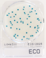 ECO